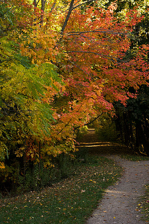 SS_Scenic_162