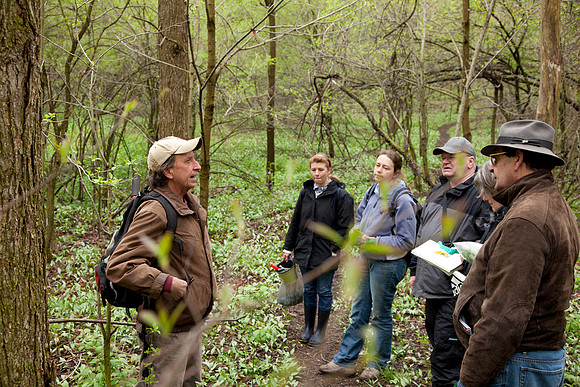 STA_Foraging_065