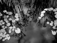 STA_365_3580_1