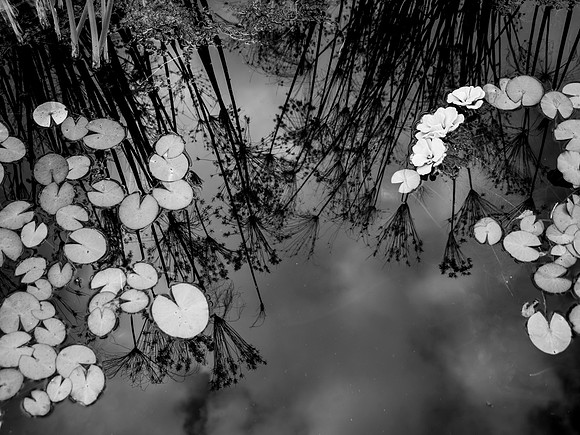 STA_365_3580_1