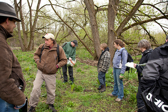 STA_Foraging_049