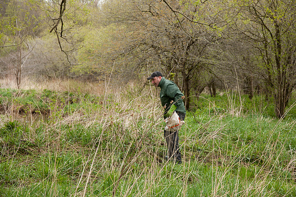 STA_Foraging_046