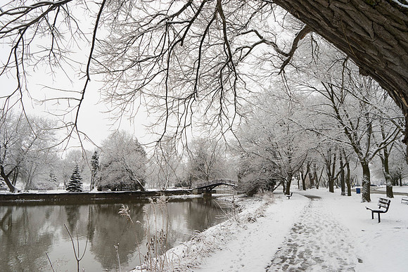 SS_Scenic_327