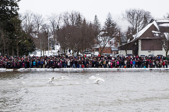 SS_SwanParade_0924