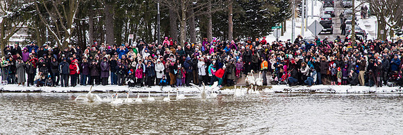 SS_SwanParade_0914
