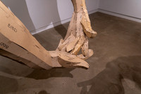 2025_TheAir BetweentheLeaves_ 16