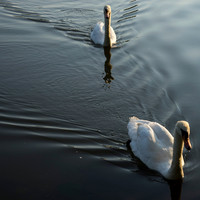 STA_365_June0147
