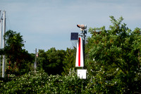 2026-HC-Colour_201