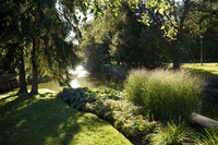 STA_365_1877