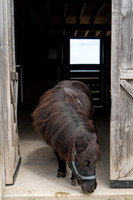 2026-Chantel_17