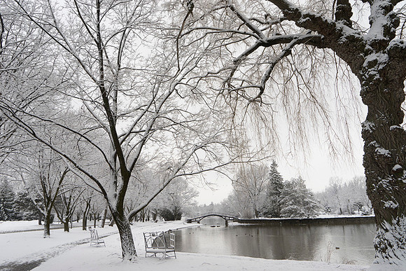 SS_Scenic_333