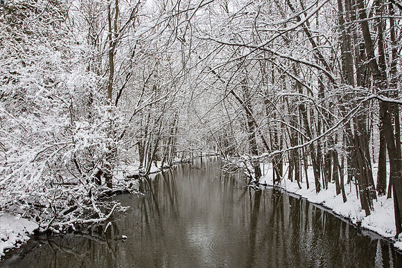 SS_Scenic_372