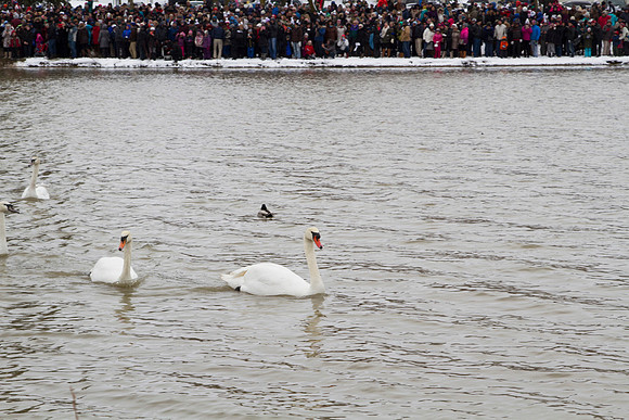 SS_SwanParade_0918