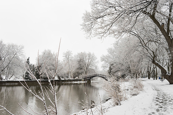 SS_Scenic_326