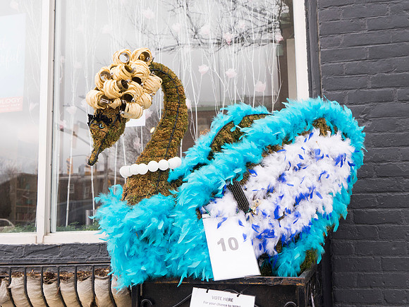 SS_SwanParade_0934