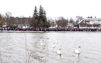 SS_SwanParade_0921