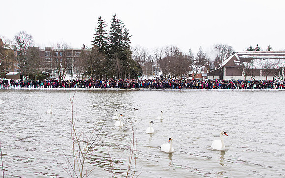 SS_SwanParade_0921