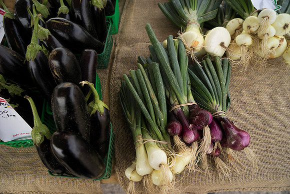 SS_Market_566