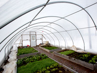 Green_J&J_005a_1