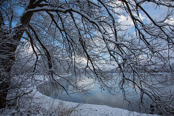 SS_Scenic_272