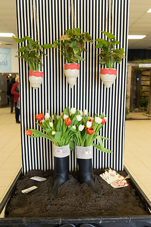 SS_Garden Festival_667