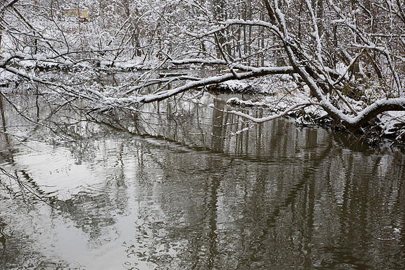 SS_Scenic_371