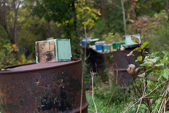 ToH_FA_778