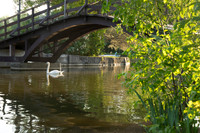 STA_365_June0205
