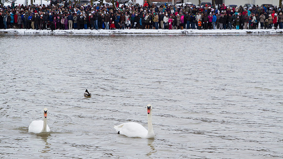 SS_SwanParade_0919