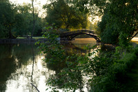SS_Scenic_377