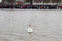 SS_SwanParade_0920