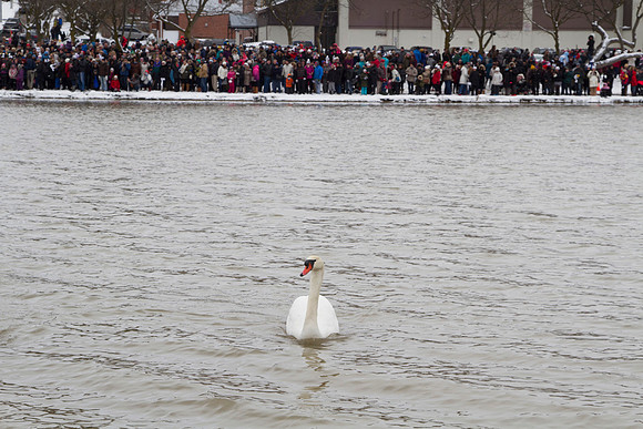 SS_SwanParade_0920