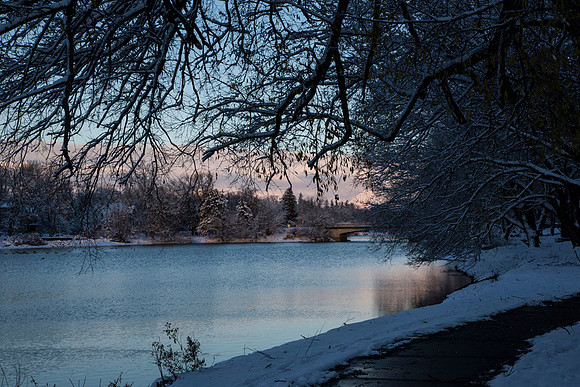 SS_Scenic_316