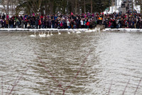 SS_SwanParade_0915