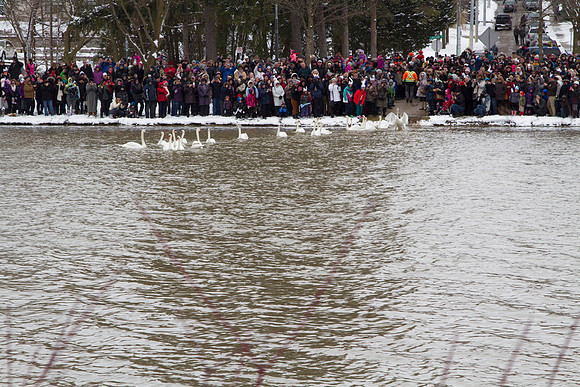SS_SwanParade_0915