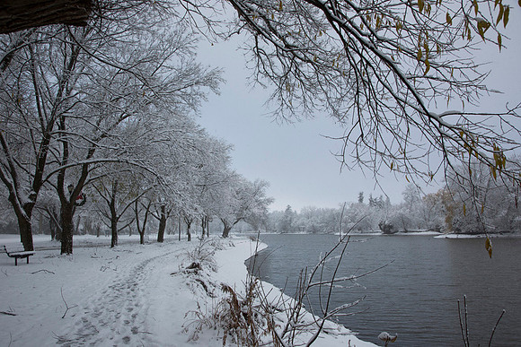 SS_Scenic_286