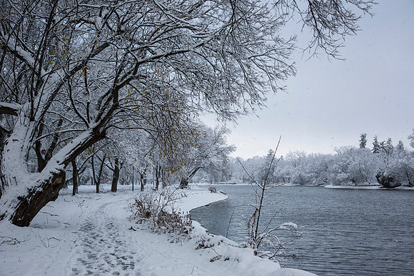 SS_Scenic_287
