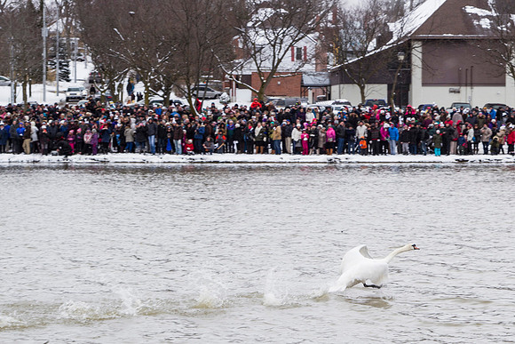 SS_SwanParade_0922