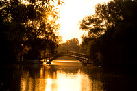 STA_365_1736
