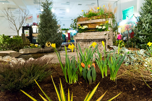 SS_Garden Festival_657