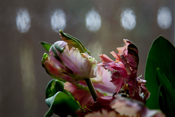 04-04