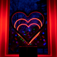 Heart