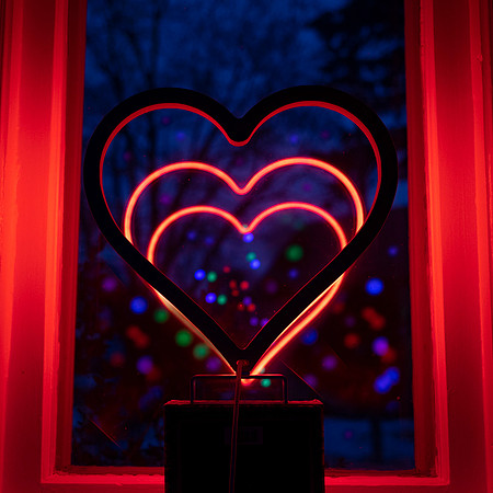 Heart