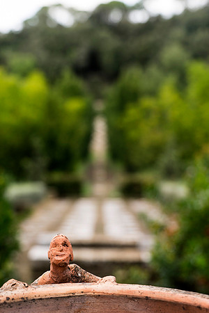 Il Bosco Della Ragnaia