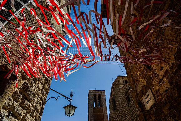 Jubilant Montepulciano