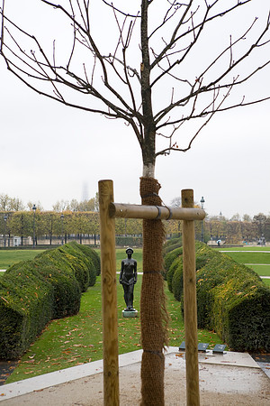 Jardin des Tuileries Paris