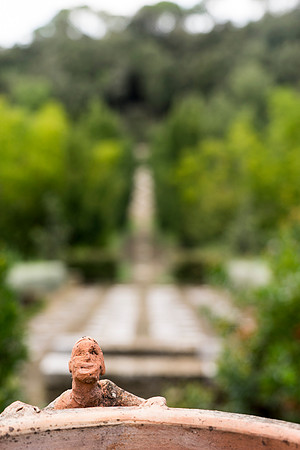 Il Bosco Della Ragnaia