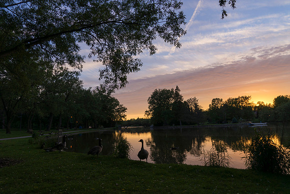 SS_Scenic_0931