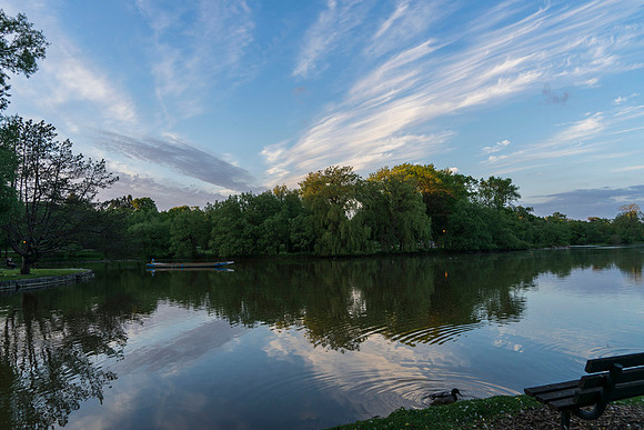 SS_Scenic_0934