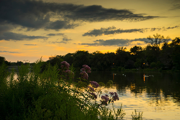SS_Scenic_096